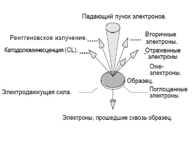 Краткие основы растровой электронной микроскопии (РЭМ)